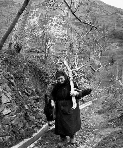 22. Τάκης Δημητριάδης.jpg