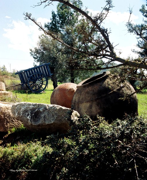 39. 1975 Κόρνος.jpg