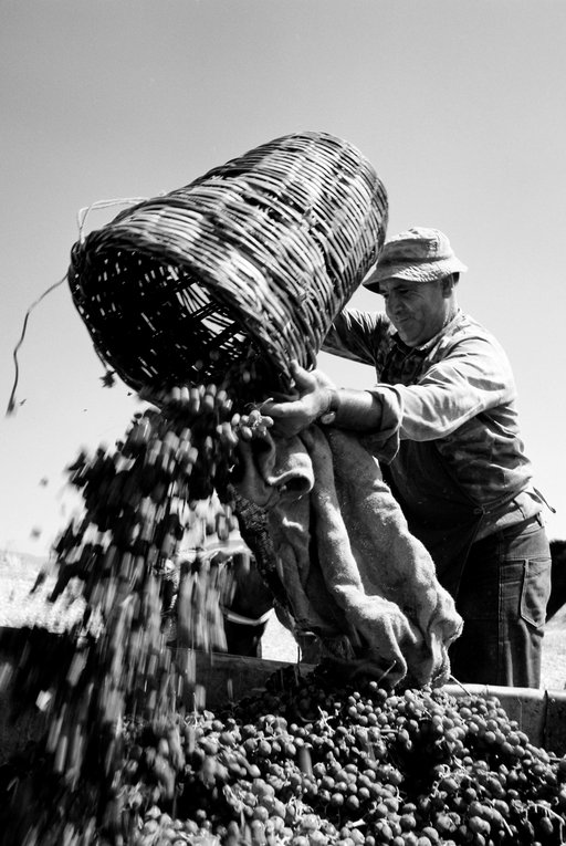 41. Τάκης Δημητριάδης.jpg