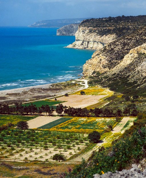 42. 1975 Κούριο.jpg