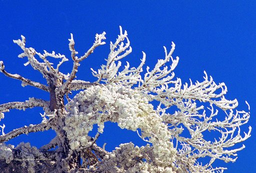 85. 1989 Τρόοδος.jpg