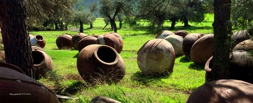 9.1973 Μοσφιλωτή - nov 22.jpg